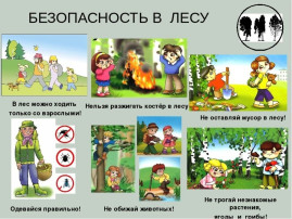 "Безопасность в лесу" "Безопасность в лесу".