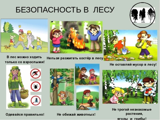 "Безопасность в лесу" "Безопасность в лесу".